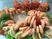Boat Shrimp